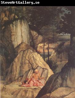 Lorenzo Lotto Jerome in the Desert (mk05)